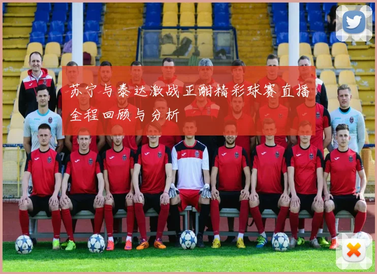 苏宁与泰达激战正酣精彩球赛直播全程回顾与分析